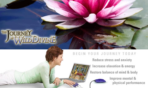 Wild Divine Video Game